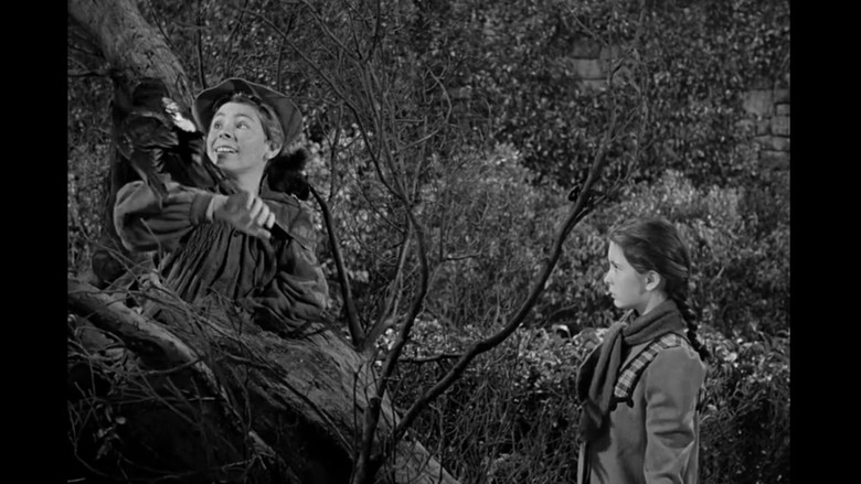 кадр из фильма The Secret Garden
