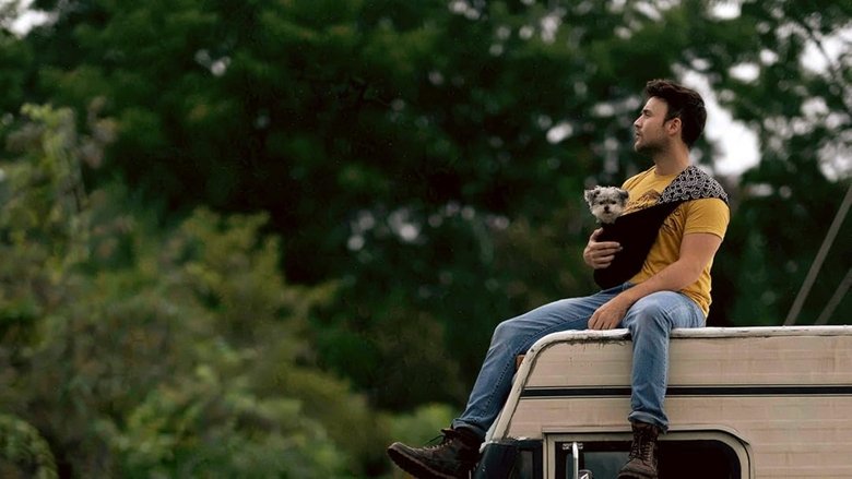 кадр из фильма Dogs on the Sendero