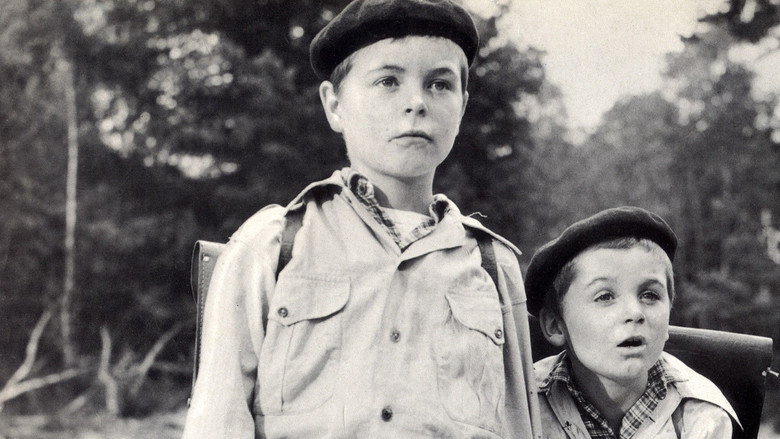 Пуговичная война