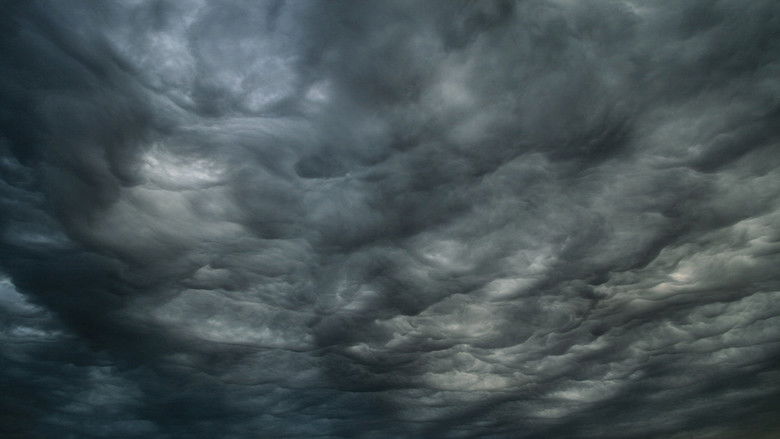 кадр из фильма NUBO