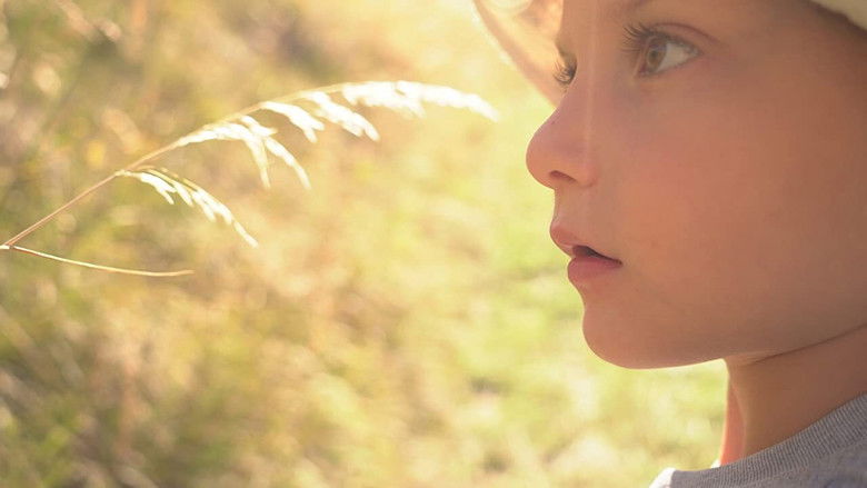 кадр из фильма לילות קיץ