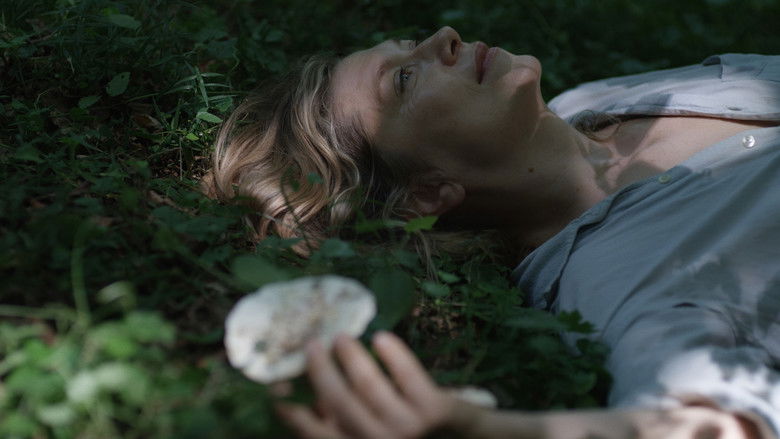 кадр из фильма Linije želje