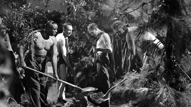 кадр из фильма Месть зомби