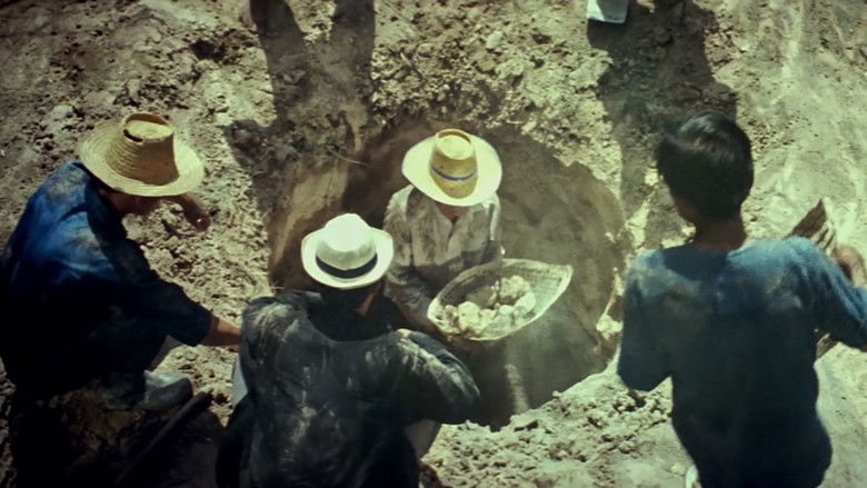 кадр из фильма ด้วยเกล้า