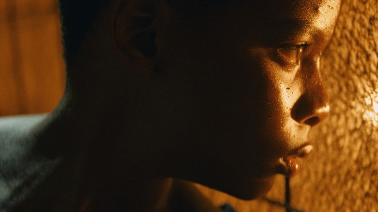 кадр из фильма Tropique de la violence