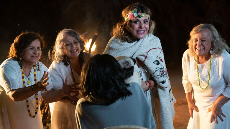 кадр из фильма Mi suegra me odia