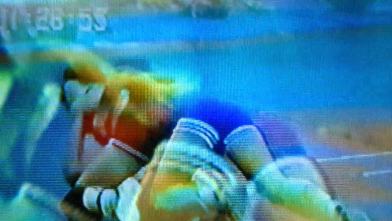 кадр из фильма Дикие тигры, которых я знал