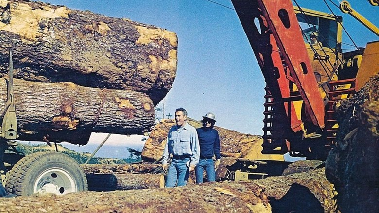 Иногда великая идея...