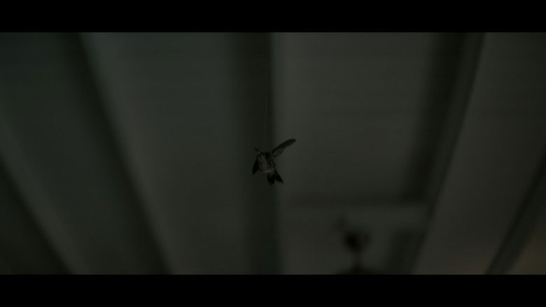 кадр из фильма Túmulo