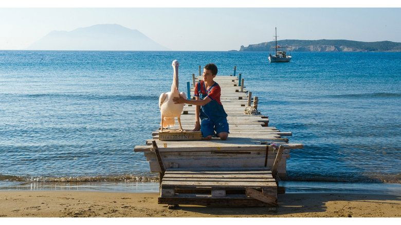 кадр из фильма Пеликан