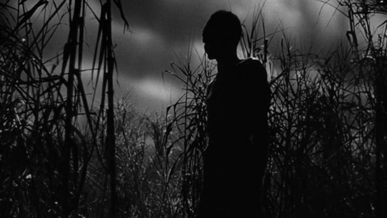 кадр из фильма Shadows in the Dark: The Val Lewton Legacy
