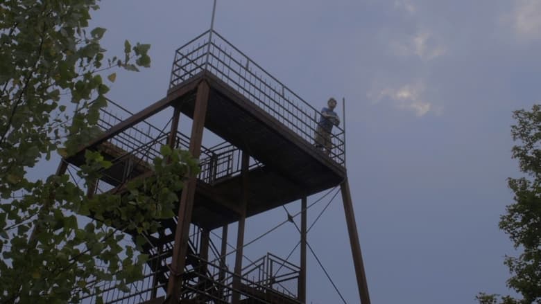 кадр из фильма Ask The Birds