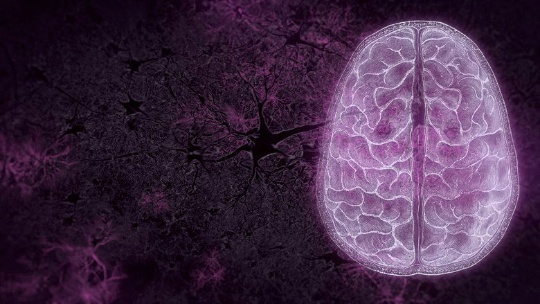 кадр из фильма Your Brain