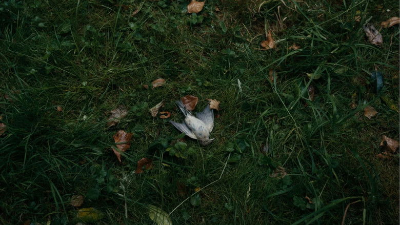 кадр из фильма The Lost Palace