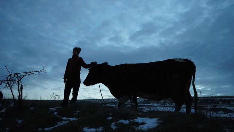 кадр из фильма Війна очима тварин