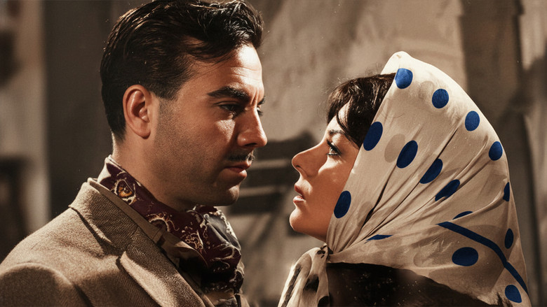 кадр из фильма Avare Mustafa