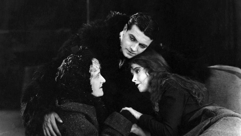 кадр из фильма Водопад жизни