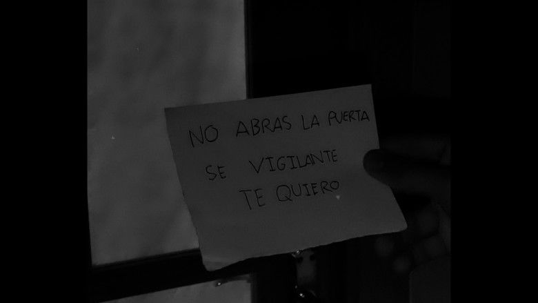 кадр из фильма ALAMBRE