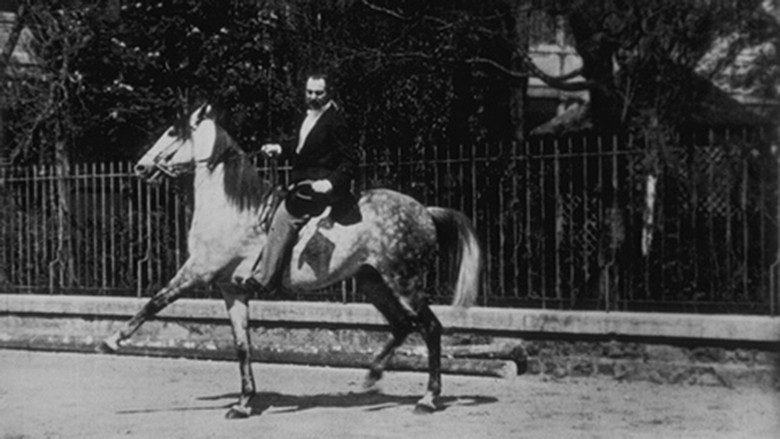 кадр из фильма Cheval de haute école, II