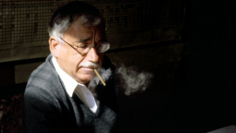 кадр из фильма Дикий Лалу́