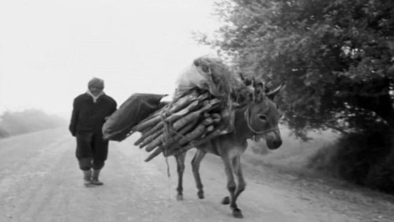 кадр из фильма Ladik 76