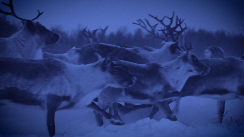 кадр из фильма Same Plane Terrain & In Ran Cram