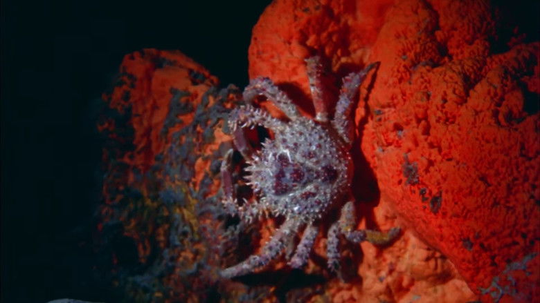 кадр из фильма Undercurrents