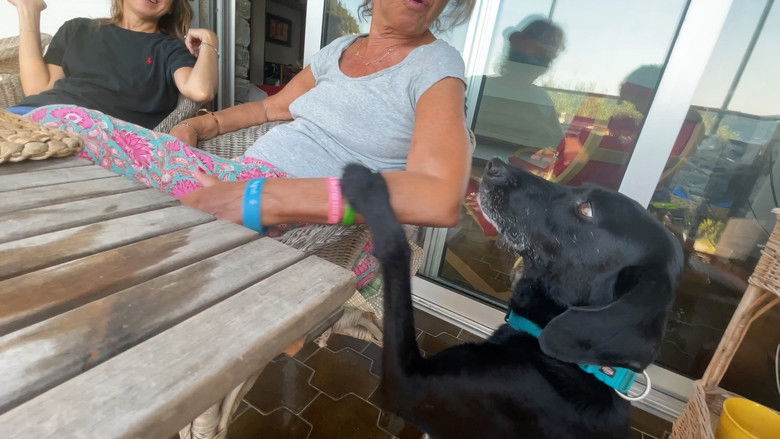 кадр из фильма Non succederà più