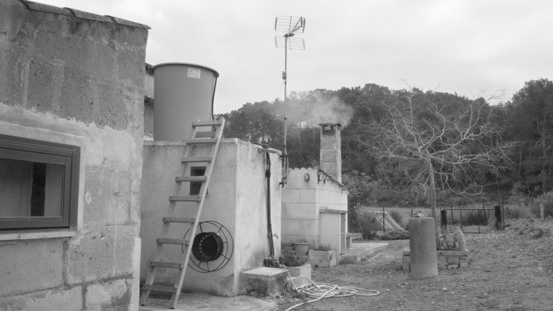 кадр из фильма Estimada Sa Bastida