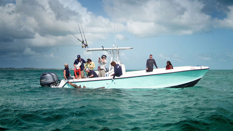 кадр из фильма Sharks of the Bermuda Triangle