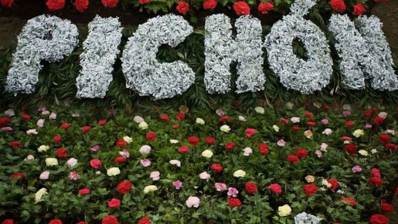 кадр из фильма Un jardín para Pichón