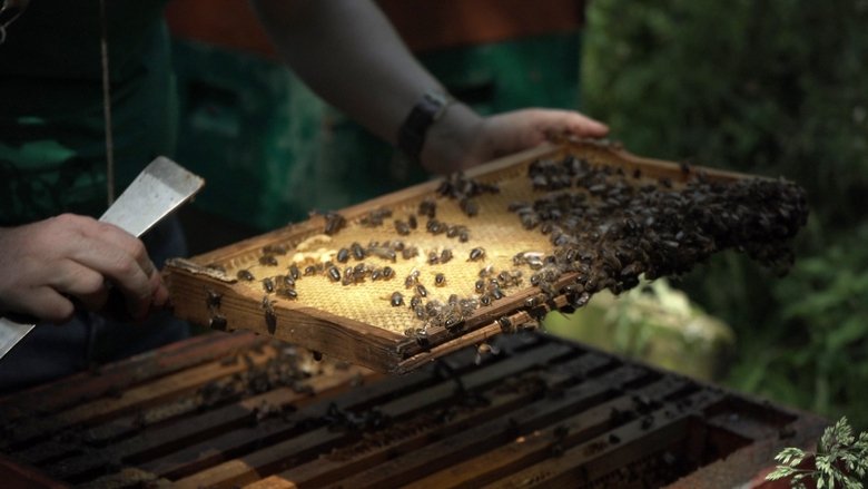 кадр из фильма Bee-Kept