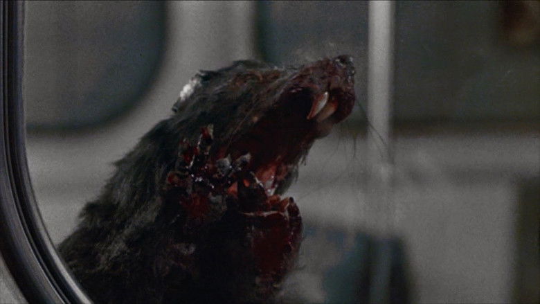 кадр из фильма Крысы