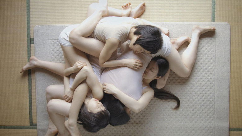 кадр из фильма ほったまるびより