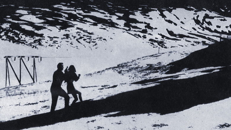 кадр из фильма Бессонница