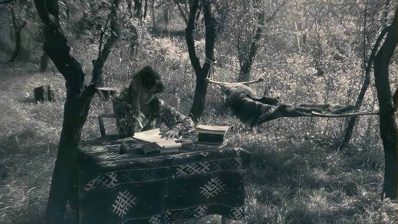 Între Tăcere și Păcat