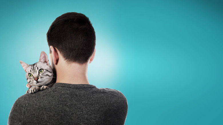 кадр из фильма Котики