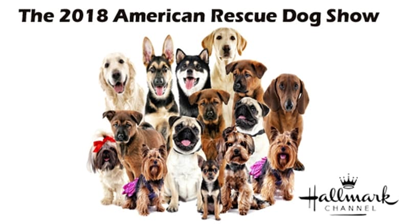 кадр из фильма The 2018 American Rescue Dog Show