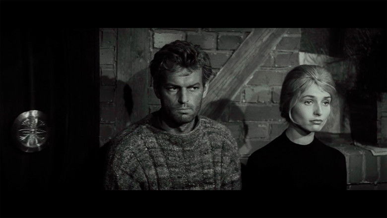 кадр из фильма Чувства