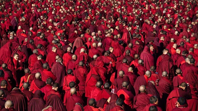 кадр из фильма Dark Red Forest