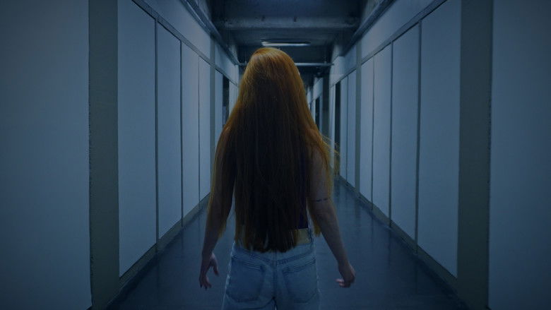 кадр из фильма A Prova Final