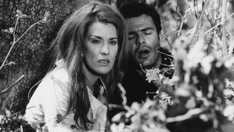 кадр из фильма Ψωμί για ένα Δραπέτη