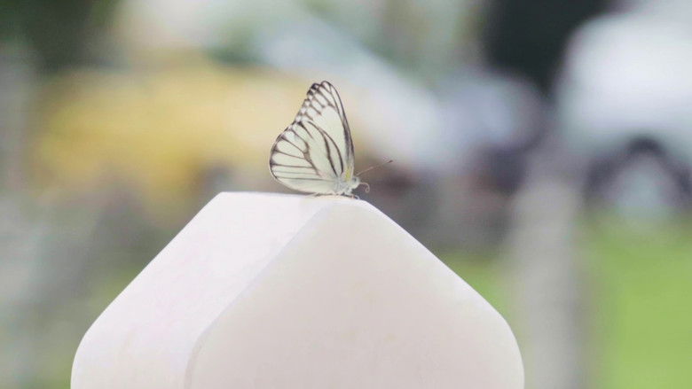 кадр из фильма Mentega Terbang