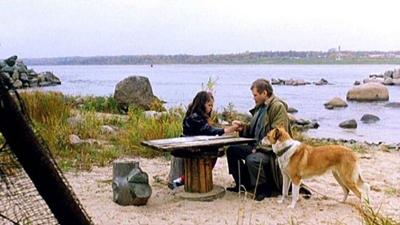 кадр из фильма Сёстры