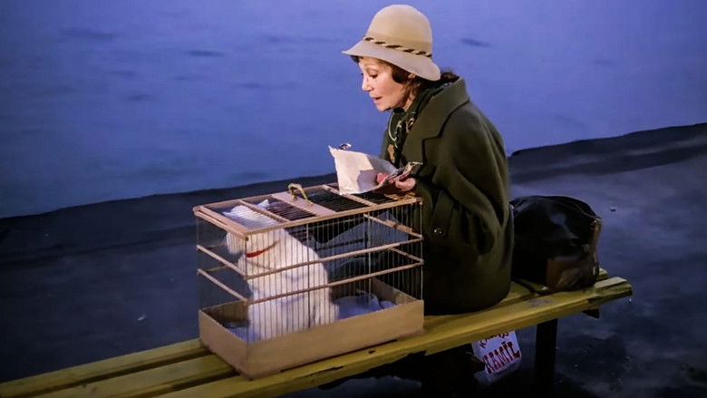 кадр из фильма Hanım