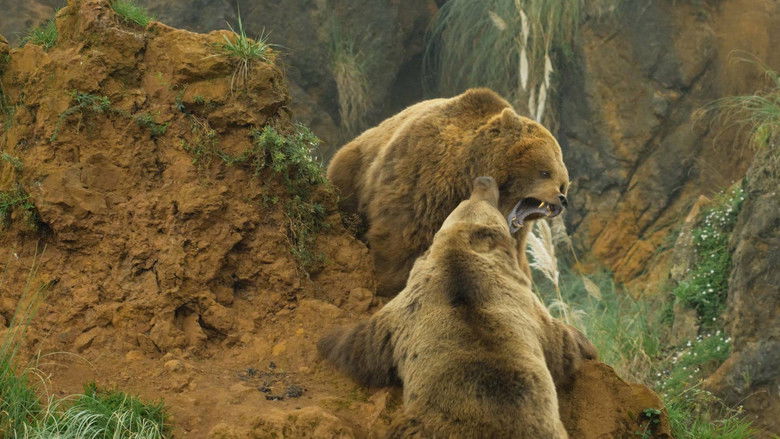 кадр из фильма The Games Animals Play