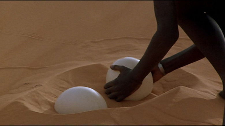 кадр из фильма Яркий свет