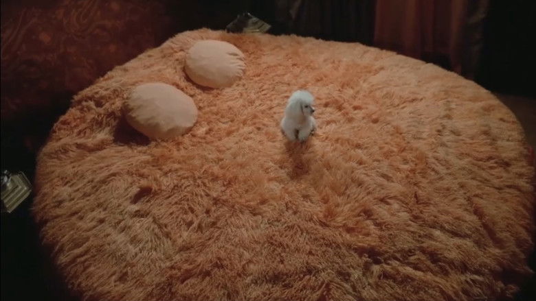 кадр из фильма Les désaxées