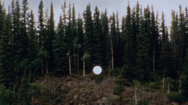 кадр из фильма Optimism