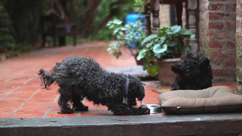 кадр из фильма Mi MMXX